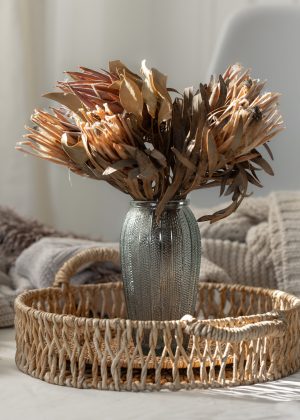 Bouquet of dried protea flowers in living room, home still life. Vase with dried exotic flowers. Aesthetic home decoration, boho style. SSUCv3H4sIAAAAAAAACpySz26DMAzG75P2DijnIpEGGN2rVDuYJJSoaVIlodNU9d2XP4C86274Z/uzv5jn+1tVkRG84uSzeqYoxkrrxQcHQVkTcXNYuZNGSIfJw7G+wQAUjqRQwToFGsMRAp8N3GSEZtE64VdOEh8gLF76tMuKOAR5iRoF7hJl4XOJqy2Rk7Ejpgg5IOaXMbMNFfF/dZaPr93wRRr+kxdGRpzUEoqRcykl1+8g3Q1bg0Uoi1w9LAedChhSAnUHB3/67k5xZS6I2DDnu2xK3C4muLTVboZoa+8w6vTqUxwjNz6D97FcbBzN5vEvsDc0x9iQPa2qRMTjpJAy1reUDQ1jXT907fFjLSgHnVXUyetsQjHmVyWwK5U2IF0jG9b3tB5aPtXt8Qg1ADQ1MEoneuJimGi8xesXAAD//wMAV5WEybkCAAA=