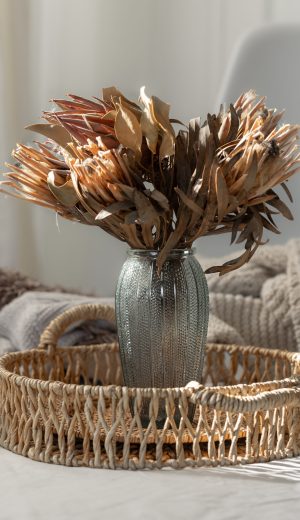 Bouquet of dried protea flowers in living room, home still life. Vase with dried exotic flowers. Aesthetic home decoration, boho style. SSUCv3H4sIAAAAAAAACpySz26DMAzG75P2DijnIpEGGN2rVDuYJJSoaVIlodNU9d2XP4C86274Z/uzv5jn+1tVkRG84uSzeqYoxkrrxQcHQVkTcXNYuZNGSIfJw7G+wQAUjqRQwToFGsMRAp8N3GSEZtE64VdOEh8gLF76tMuKOAR5iRoF7hJl4XOJqy2Rk7Ejpgg5IOaXMbMNFfF/dZaPr93wRRr+kxdGRpzUEoqRcykl1+8g3Q1bg0Uoi1w9LAedChhSAnUHB3/67k5xZS6I2DDnu2xK3C4muLTVboZoa+8w6vTqUxwjNz6D97FcbBzN5vEvsDc0x9iQPa2qRMTjpJAy1reUDQ1jXT907fFjLSgHnVXUyetsQjHmVyWwK5U2IF0jG9b3tB5aPtXt8Qg1ADQ1MEoneuJimGi8xesXAAD//wMAV5WEybkCAAA=